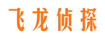 岭东侦探公司